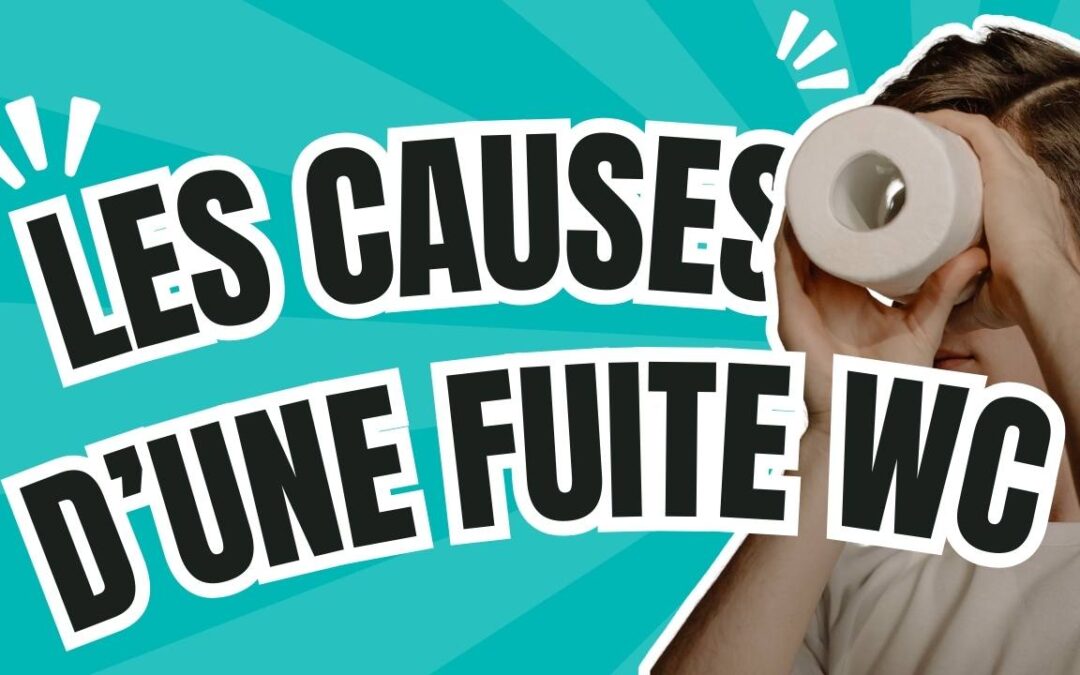 Quelles sont les causes d’une fuite WC ?